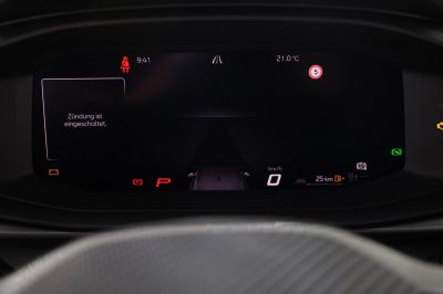 Cupra Terramar Gebrauchtwagen