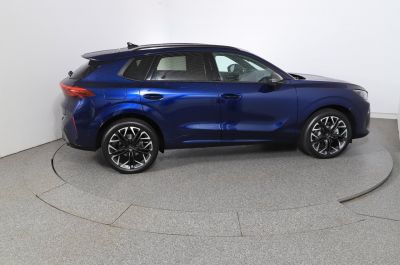 Cupra Terramar Gebrauchtwagen