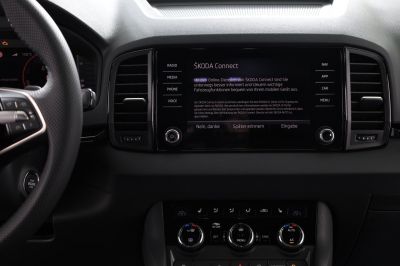 Skoda Karoq Gebrauchtwagen