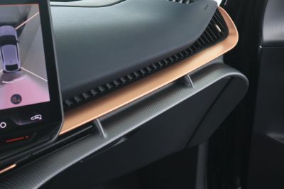 Cupra Tavascan Gebrauchtwagen