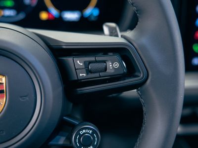 Porsche Cayenne Gebrauchtwagen