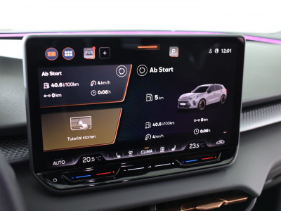 Cupra Terramar Gebrauchtwagen