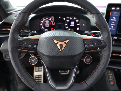 Cupra Terramar Gebrauchtwagen