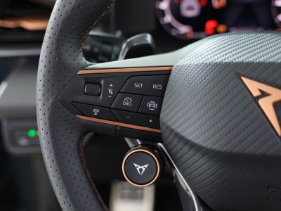 Cupra Terramar Gebrauchtwagen