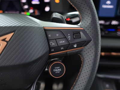 Cupra Terramar Gebrauchtwagen