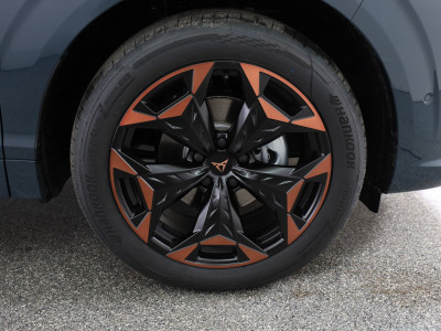 Cupra Terramar Gebrauchtwagen