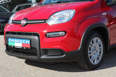 Fiat Panda Tageszulassung