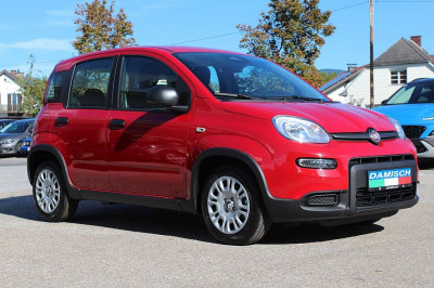 Fiat Panda Tageszulassung