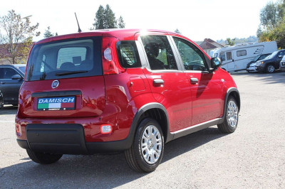 Fiat Panda Tageszulassung