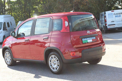 Fiat Panda Tageszulassung