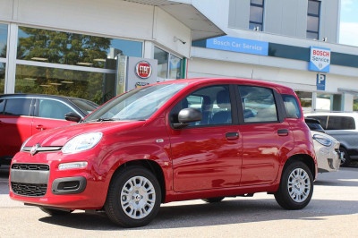 Fiat Panda Neuwagen