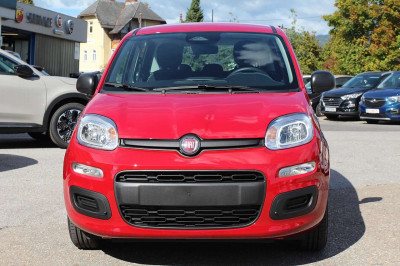 Fiat Panda Neuwagen Fiat Panda Neuwagen