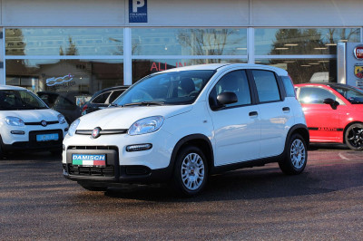 Fiat Panda Gebrauchtwagen