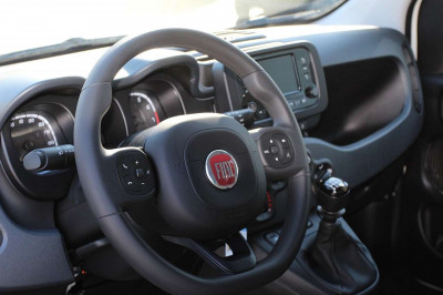 Fiat Panda Gebrauchtwagen Fiat Panda Gebrauchtwagen