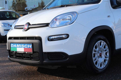 Fiat Panda Gebrauchtwagen Fiat Panda Gebrauchtwagen