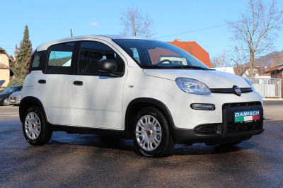 Fiat Panda Gebrauchtwagen Fiat Panda Gebrauchtwagen