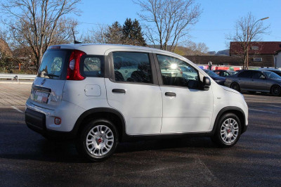 Fiat Panda Gebrauchtwagen Fiat Panda Gebrauchtwagen