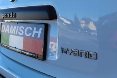 Fiat Panda Gebrauchtwagen Fiat Panda Gebrauchtwagen