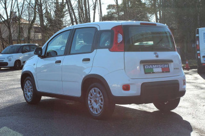 Fiat Panda Gebrauchtwagen Fiat Panda Gebrauchtwagen