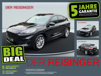 Ford Kuga Gebrauchtwagen