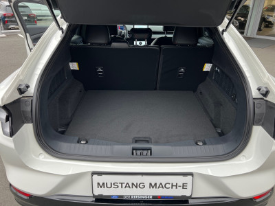 Ford Mustang Mach-E Neuwagen