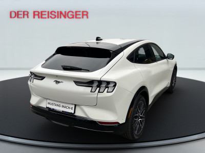 Ford Mustang Mach-E Neuwagen