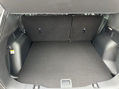 Ford Kuga Vorführwagen