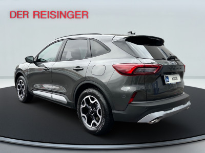 Ford Kuga Vorführwagen