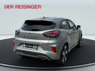 Ford Puma Gebrauchtwagen Ford Puma Gebrauchtwagen