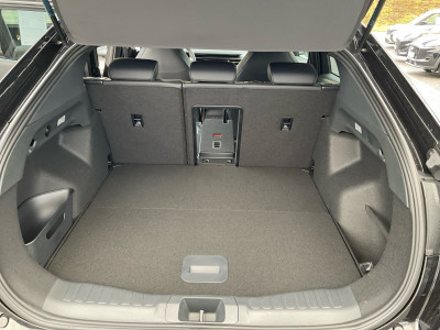 Ford Capri Neuwagen Ford Capri Neuwagen