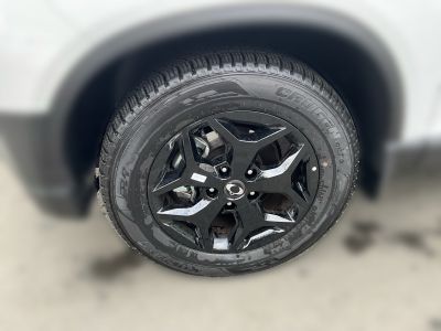 KGM/SsangYong Musso Pick Up Vorführwagen