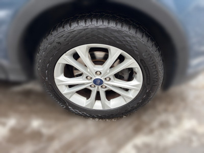 Ford Kuga Gebrauchtwagen