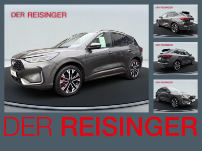 Ford Kuga Vorführwagen