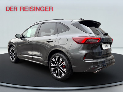 Ford Kuga Vorführwagen