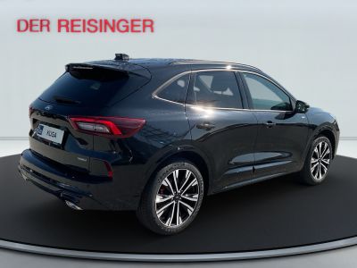 Ford Kuga Vorführwagen Ford Kuga Vorführwagen