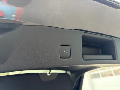 Ford Kuga Neuwagen