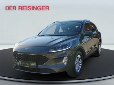 Ford Kuga Gebrauchtwagen Ford Kuga Gebrauchtwagen