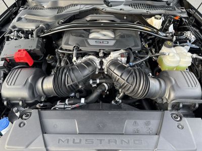 Ford Mustang Gebrauchtwagen Ford Mustang Gebrauchtwagen