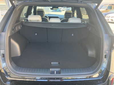 KIA Sportage Vorführwagen