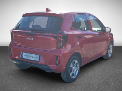 KIA Picanto Neuwagen