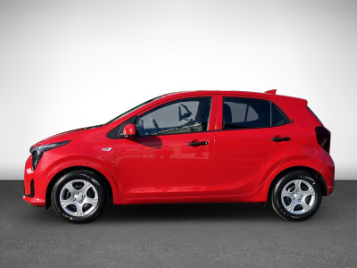 KIA Picanto Neuwagen