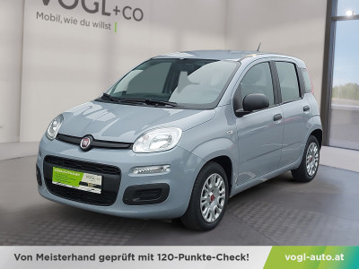 Fiat Panda Gebrauchtwagen