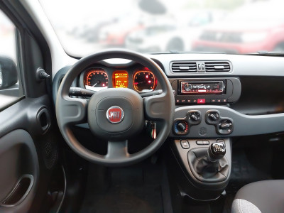 Fiat Panda Gebrauchtwagen