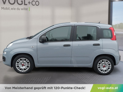 Fiat Panda Gebrauchtwagen