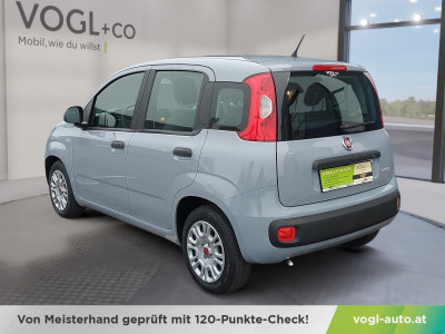Fiat Panda Gebrauchtwagen