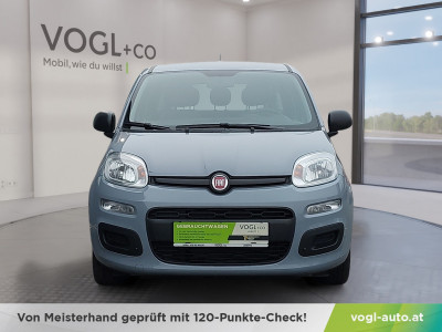 Fiat Panda Gebrauchtwagen