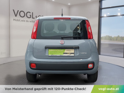 Fiat Panda Gebrauchtwagen