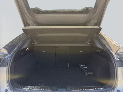 Renault Rafale Vorführwagen