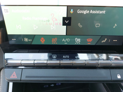Renault Austral Gebrauchtwagen