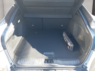 Renault Arkana Gebrauchtwagen